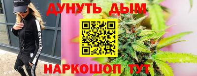 сатива Будённовск
