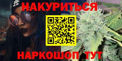сатива Будённовск