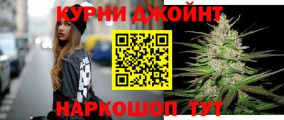 сатива Бузулук