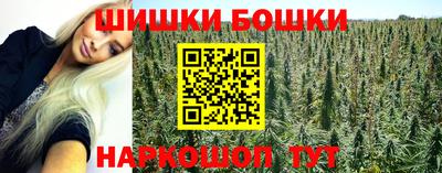 сатива Будённовск