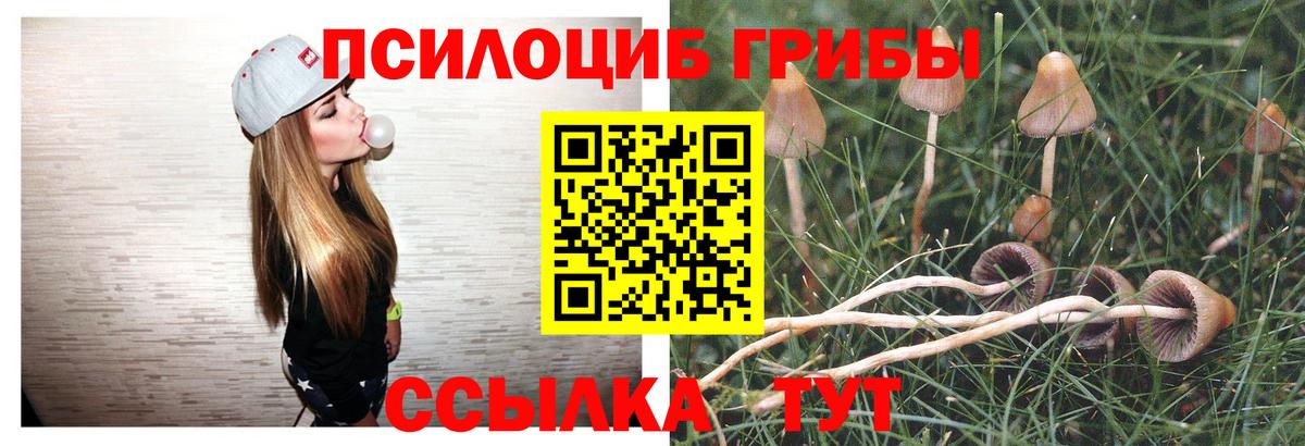 Галлюциногенные грибы GOLDEN TEACHER  Галлюциногенные грибы мицелий  Вход с VPN  цены   Санкт-Петербург 